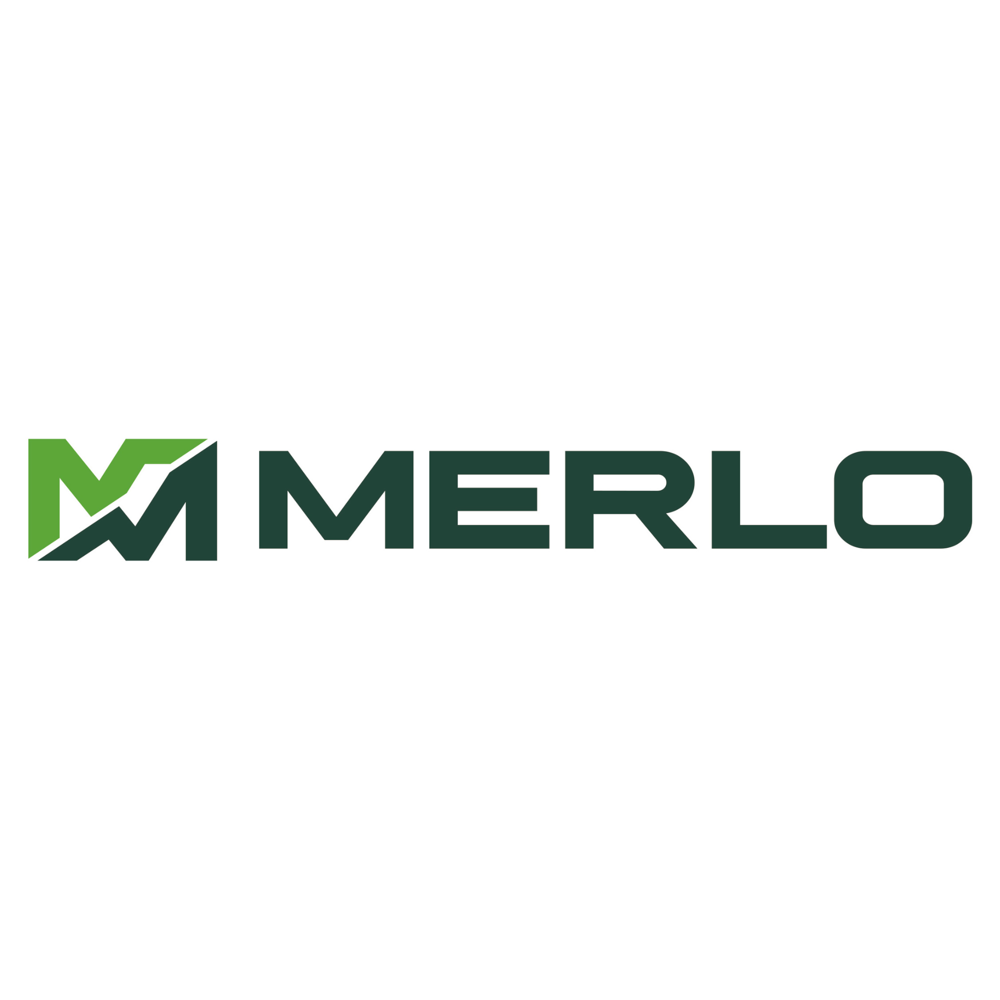 Logo Merlo